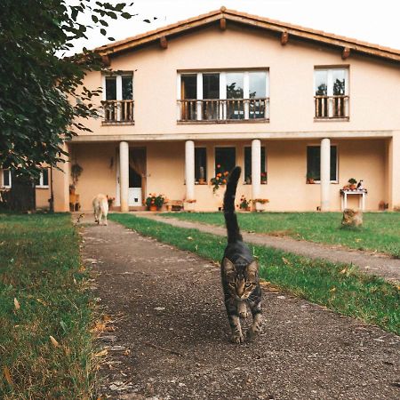 Casa De Campo La Solana Estollo ภายนอก รูปภาพ