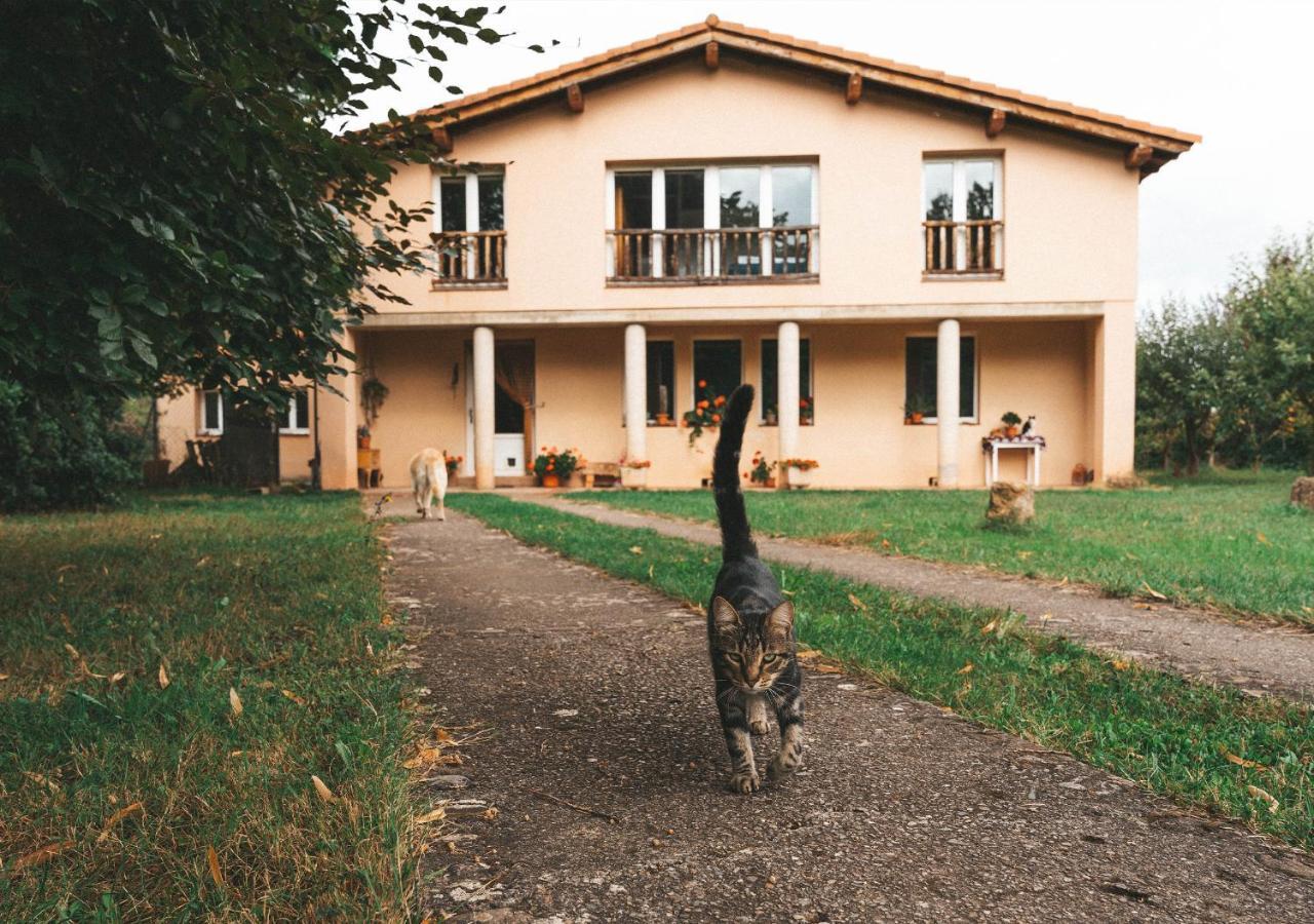 Casa De Campo La Solana Estollo ภายนอก รูปภาพ