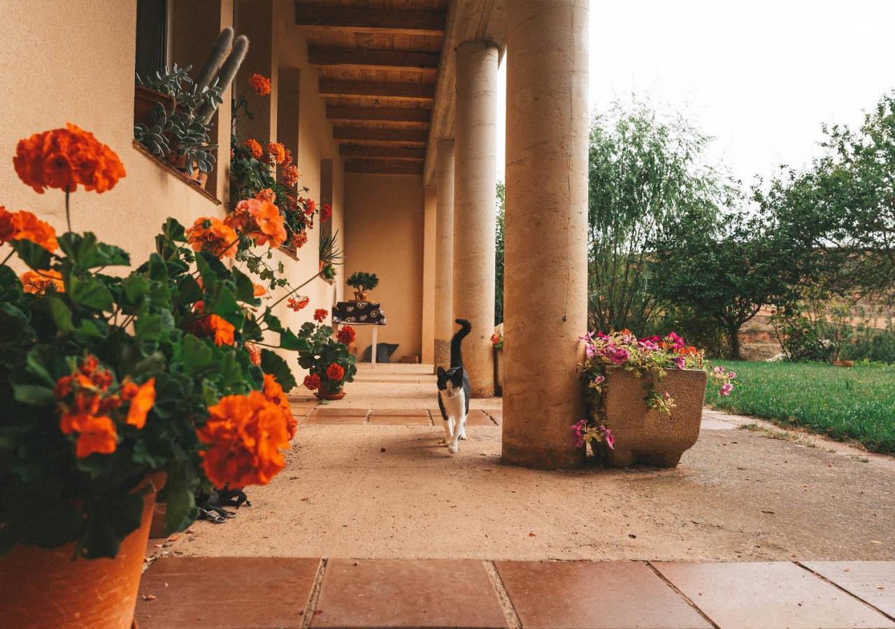 Casa De Campo La Solana Estollo ภายนอก รูปภาพ